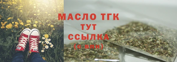 индика Саяногорск