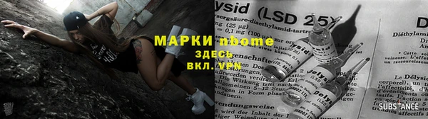 индика Саяногорск
