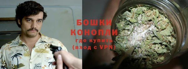 индика Саяногорск