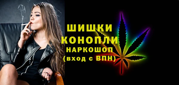 индика Саяногорск