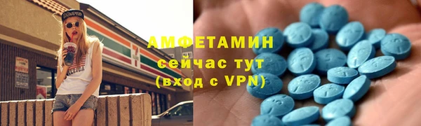индика Саяногорск