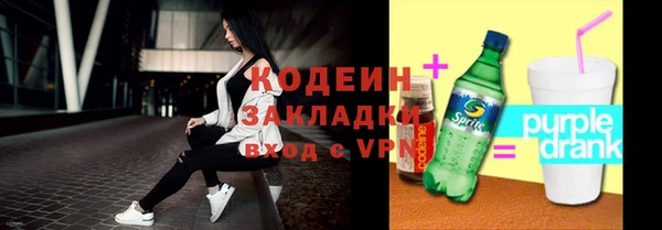 индика Саяногорск