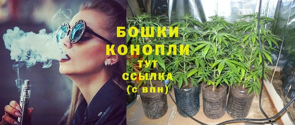 метадон Сатка
