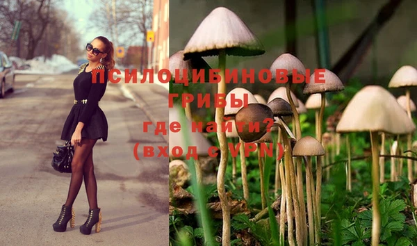 метадон Сатка