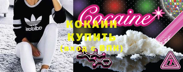 индика Саяногорск