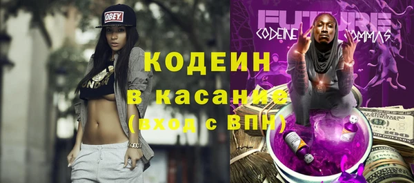 индика Саяногорск