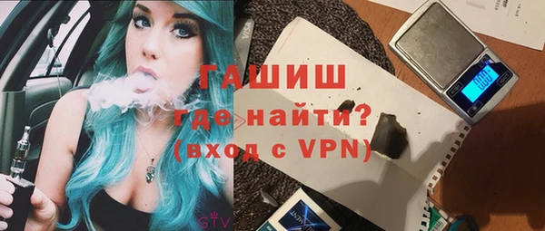 индика Саяногорск