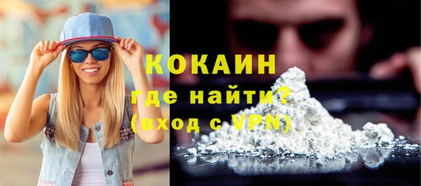 индика Саяногорск